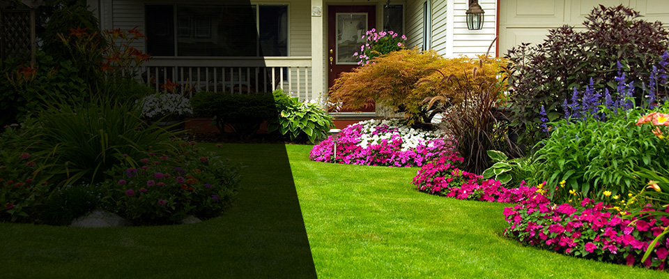 Hazel Green Landscapers