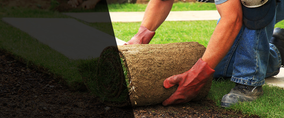 Hazel Green Landscapers